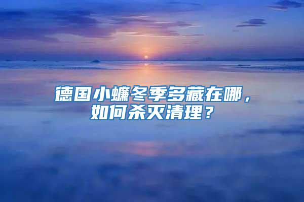 德国小蠊冬季多藏在哪，如何杀灭清理？