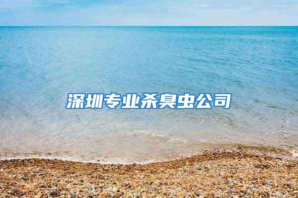 深圳专业杀臭虫公司