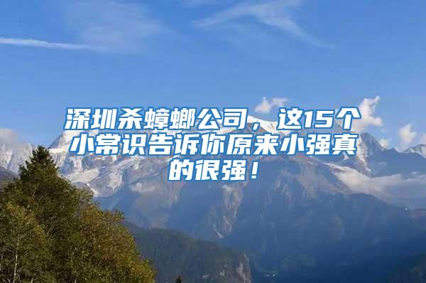 深圳杀蟑螂公司，这15个小常识告诉你原来小强真的很强！