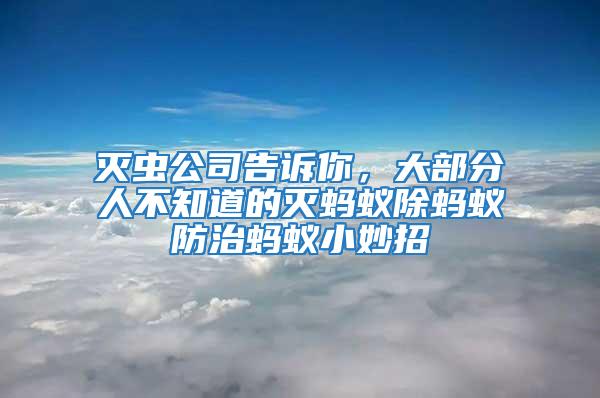 灭虫公司告诉你，大部分人不知道的灭蚂蚁除蚂蚁防治蚂蚁小妙招