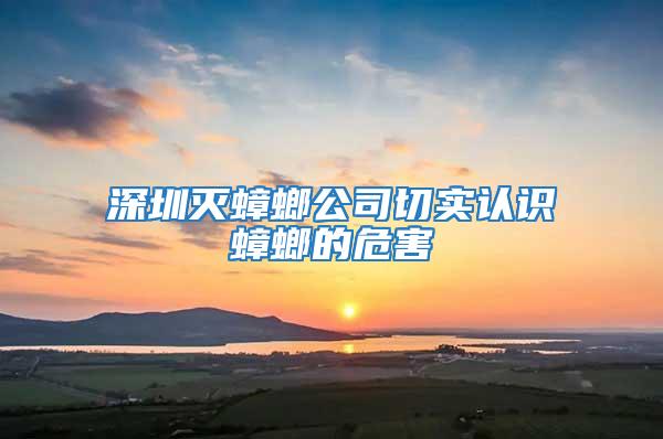 深圳灭蟑螂公司切实认识蟑螂的危害