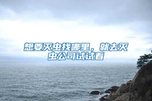 想要灭虫找哪里，就去灭虫公司试试看