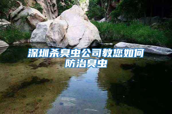 深圳杀臭虫公司教您如何防治臭虫