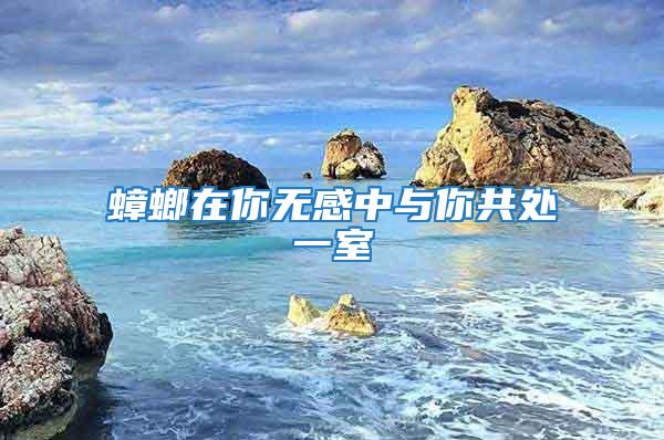 蟑螂在你无感中与你共处一室