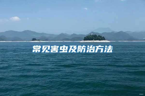 常见害虫及防治方法