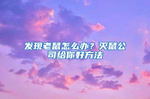 发现老鼠怎么办？灭鼠公司给你好方法