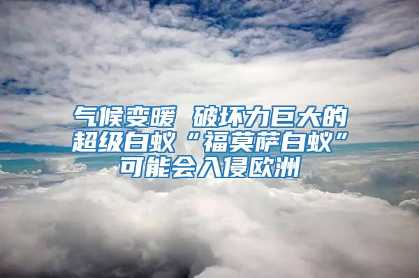 气候变暖 破坏力巨大的超级白蚁“福莫萨白蚁”可能会入侵欧洲