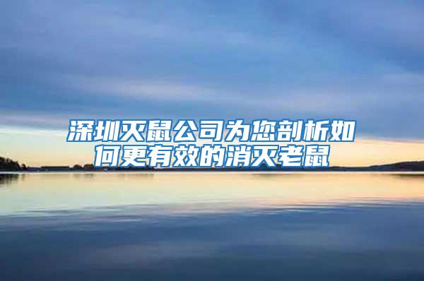 深圳灭鼠公司为您剖析如何更有效的消灭老鼠