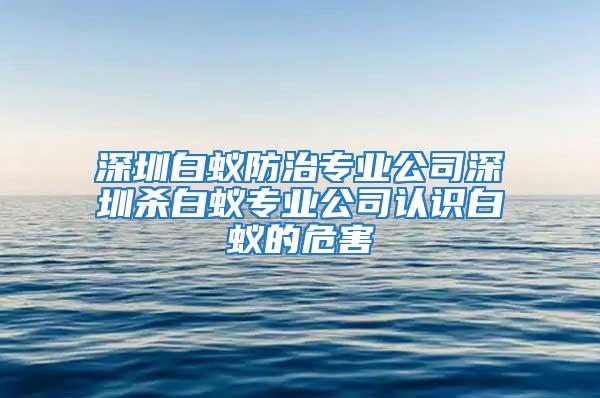 深圳白蚁防治专业公司深圳杀白蚁专业公司认识白蚁的危害