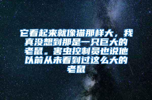 它看起来就像猫那样大，我真没想到那是一只巨大的老鼠。害虫控制员也说他以前从未看到过这么大的老鼠