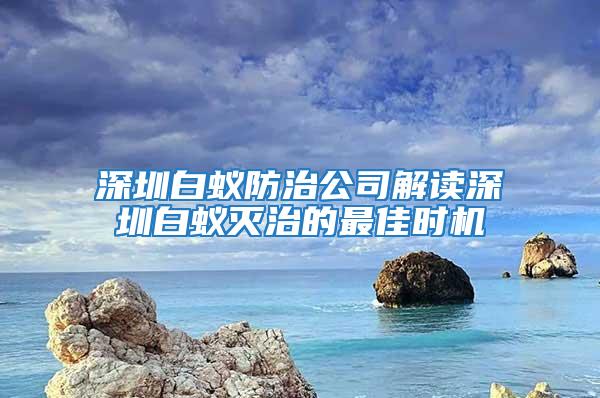 深圳白蚁防治公司解读深圳白蚁灭治的最佳时机