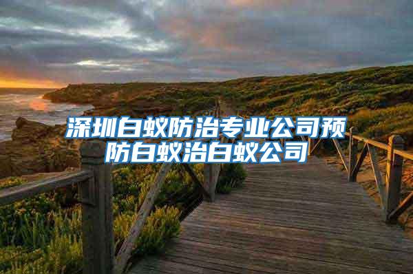 深圳白蚁防治专业公司预防白蚁治白蚁公司