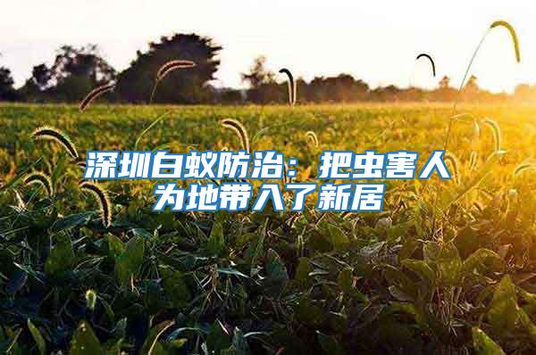 深圳白蚁防治：把虫害人为地带入了新居