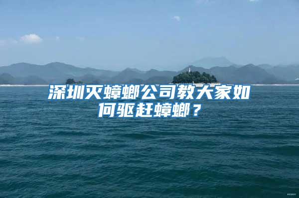 深圳灭蟑螂公司教大家如何驱赶蟑螂？