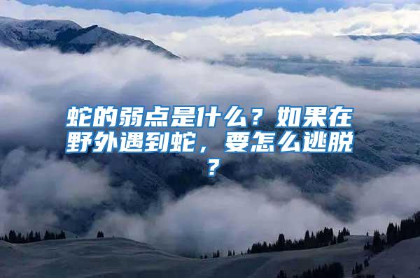 蛇的弱点是什么？如果在野外遇到蛇，要怎么逃脱？