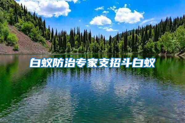 白蚁防治专家支招斗白蚁