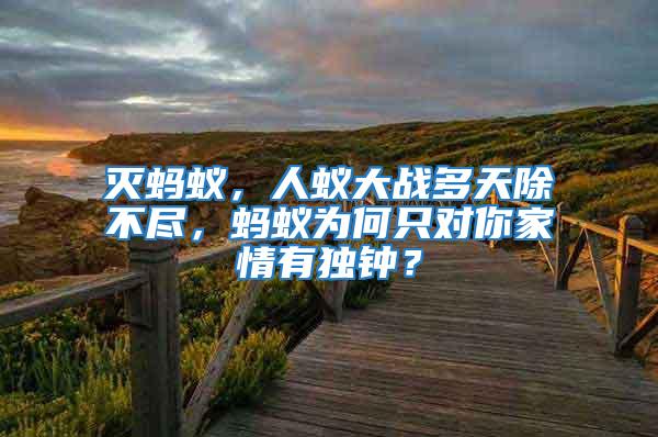 灭蚂蚁，人蚁大战多天除不尽，蚂蚁为何只对你家情有独钟？