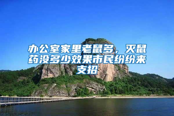 办公室家里老鼠多，灭鼠药没多少效果市民纷纷来支招