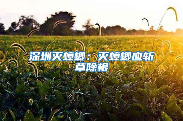 深圳灭蟑螂：灭蟑螂应斩草除根