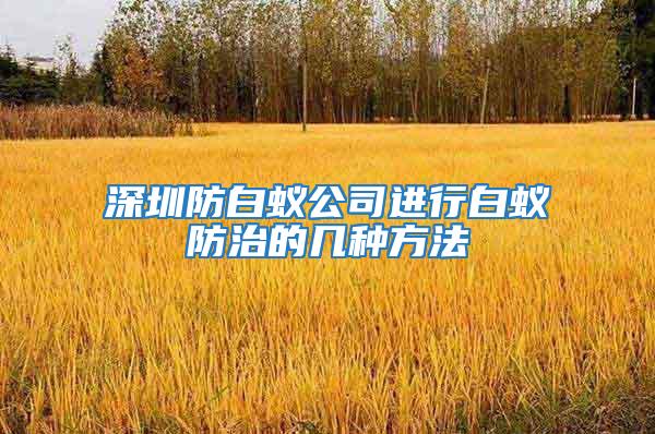 深圳防白蚁公司进行白蚁防治的几种方法