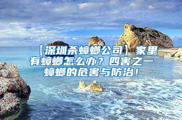 【深圳杀蟑螂公司】家里有蟑螂怎么办？四害之一蟑螂的危害与防治！