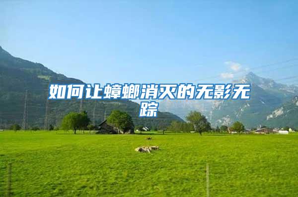 如何让蟑螂消灭的无影无踪
