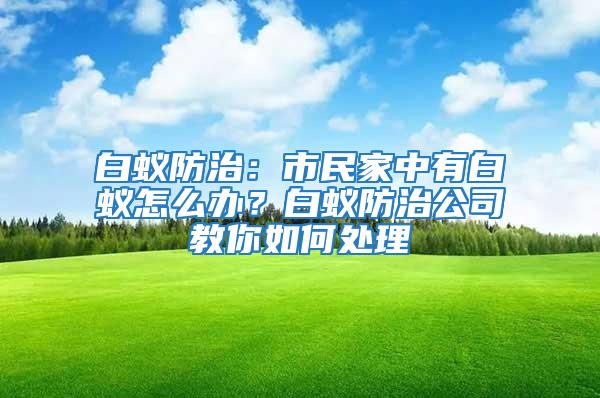 白蚁防治：市民家中有白蚁怎么办？白蚁防治公司教你如何处理