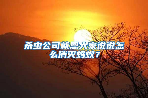 杀虫公司就恩大家说说怎么消灭蚂蚁？