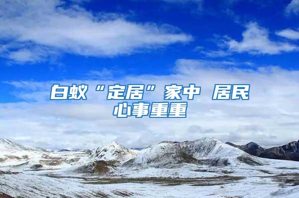 白蚁“定居”家中 居民心事重重