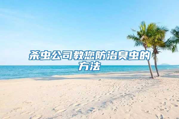 杀虫公司教您防治臭虫的方法