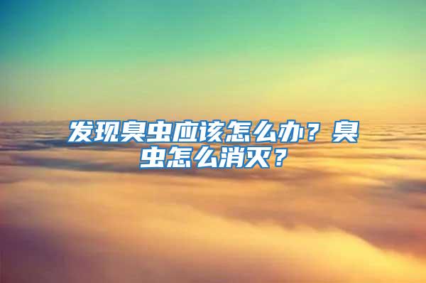 发现臭虫应该怎么办？臭虫怎么消灭？