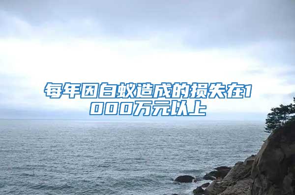 每年因白蚁造成的损失在1000万元以上