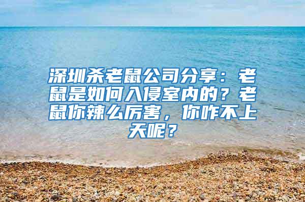 深圳杀老鼠公司分享：老鼠是如何入侵室内的？老鼠你辣么厉害，你咋不上天呢？