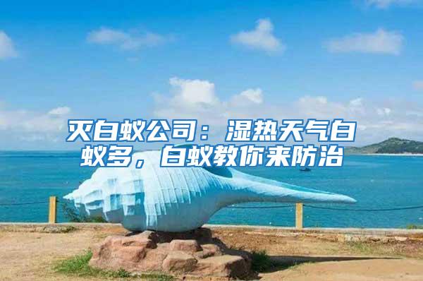 灭白蚁公司：湿热天气白蚁多，白蚁教你来防治