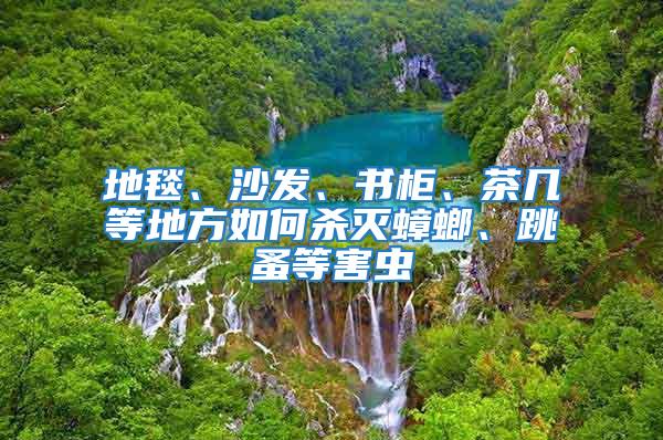 地毯、沙发、书柜、茶几等地方如何杀灭蟑螂、跳蚤等害虫