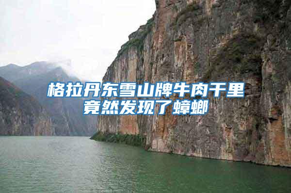 格拉丹东雪山牌牛肉干里竟然发现了蟑螂