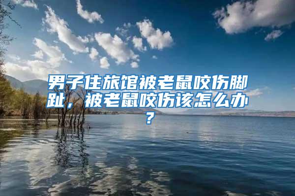 男子住旅馆被老鼠咬伤脚趾，被老鼠咬伤该怎么办？