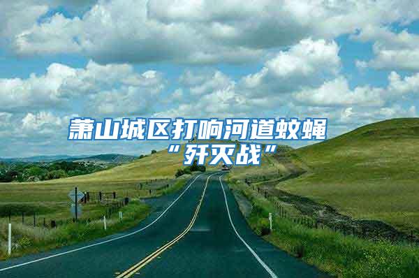 萧山城区打响河道蚊蝇“歼灭战”