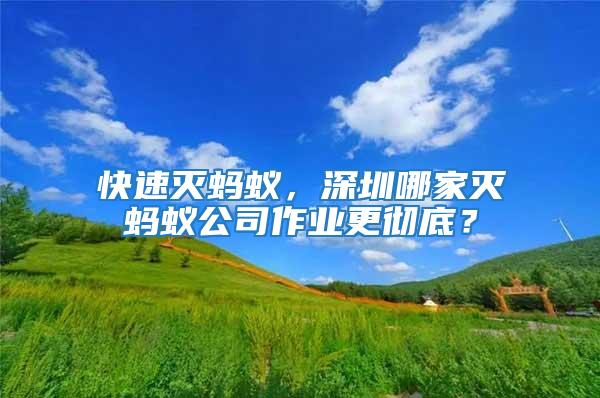 快速灭蚂蚁，深圳哪家灭蚂蚁公司作业更彻底？