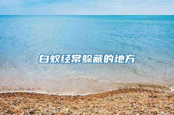 白蚁经常躲藏的地方