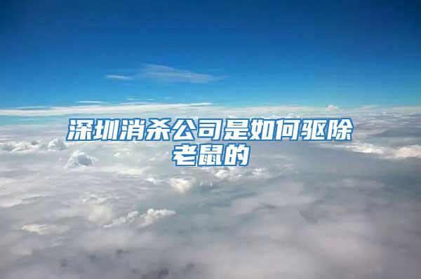 深圳消杀公司是如何驱除老鼠的