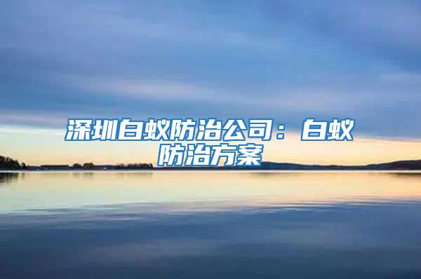 深圳白蚁防治公司：白蚁防治方案