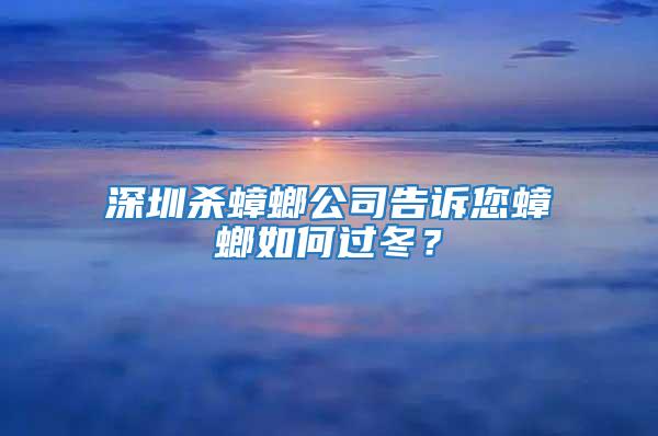 深圳杀蟑螂公司告诉您蟑螂如何过冬？