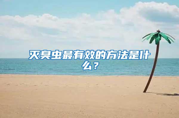 灭臭虫最有效的方法是什么？