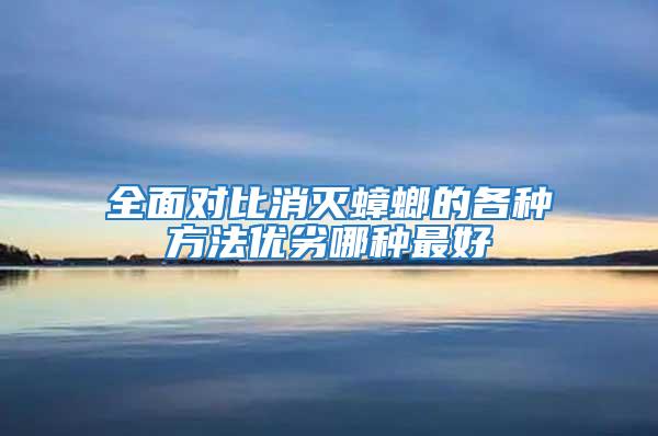 全面对比消灭蟑螂的各种方法优劣哪种最好