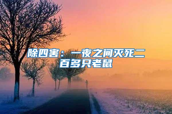 除四害：一夜之间灭死二百多只老鼠