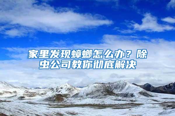 家里发现蟑螂怎么办？除虫公司教你彻底解决