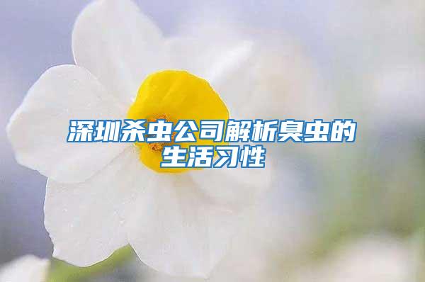 深圳杀虫公司解析臭虫的生活习性