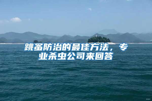 跳蚤防治的最佳方法，专业杀虫公司来回答