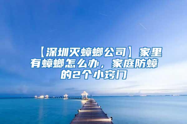 【深圳灭蟑螂公司】家里有蟑螂怎么办，家庭防蟑的2个小窍门